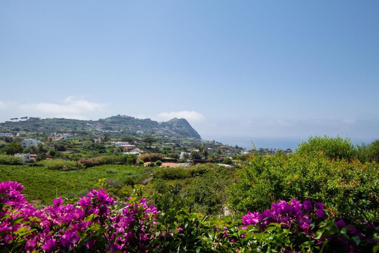 Villetta Con Giardino Esclusivo Di 1000 Mq, Piscina, Tennis, Calcio, Bocce Forio di Ischia Exteriör bild