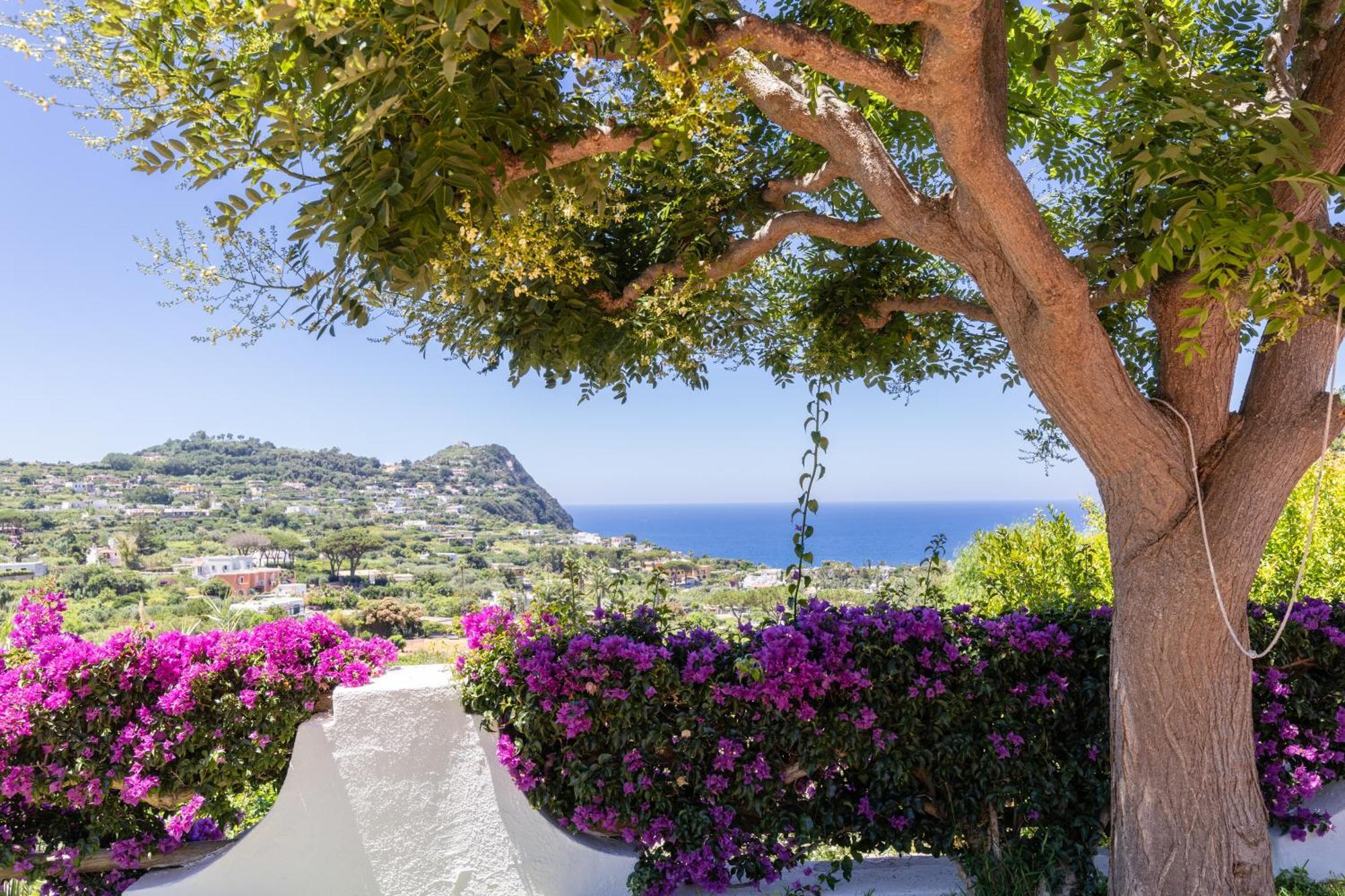 Villetta Con Giardino Esclusivo Di 1000 Mq, Piscina, Tennis, Calcio, Bocce Forio di Ischia Exteriör bild
