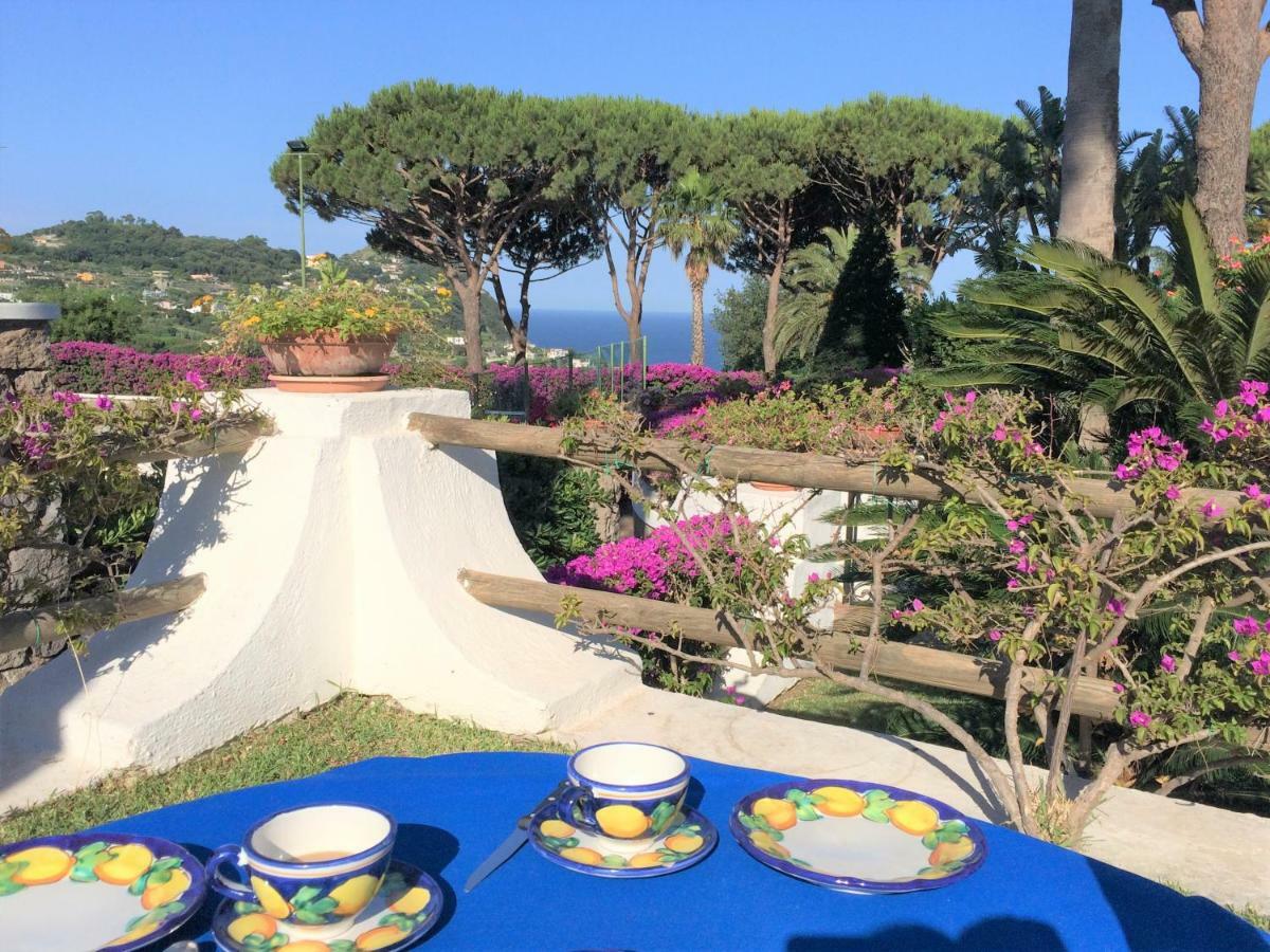 Villetta Con Giardino Esclusivo Di 1000 Mq, Piscina, Tennis, Calcio, Bocce Forio di Ischia Exteriör bild